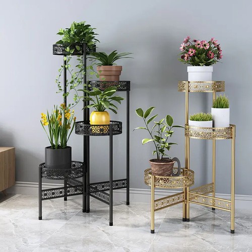 Flower pot plant floor - flower,