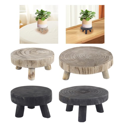 Plant display stand - plant,