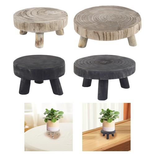 Plant display stand ornament - display,
