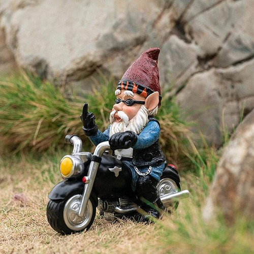 Novelty naughty garden gnomes - novelty,